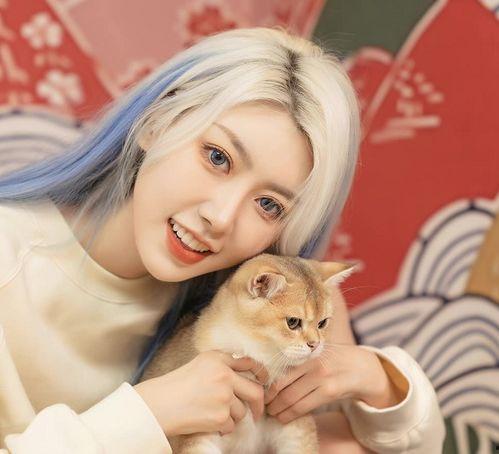 南京传媒大学明星网红,明星网红摇篮，闪耀娱乐圈