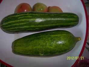 抚州今日瓜价,新鲜上市，价格亲民