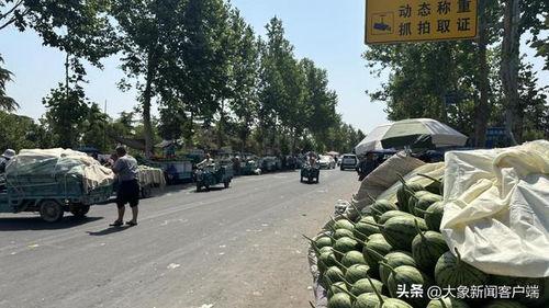 小吊瓜西瓜今日价格,市场行情一览”