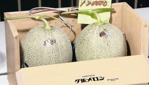 今日蜜瓜报价查询网,市场行情实时更新