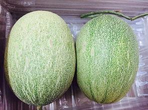 今日蜜瓜报价查询网,市场行情实时更新