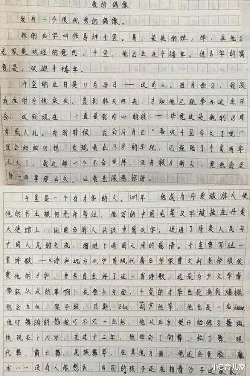 我喜欢的明星网红作文,我与偶像的互动之旅