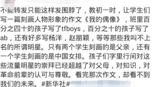 我喜欢的明星网红作文,我与偶像的互动之旅