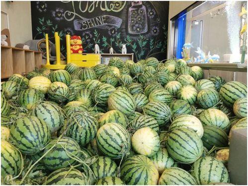 今日实时吃瓜,揭秘娱乐圈最新热点事件