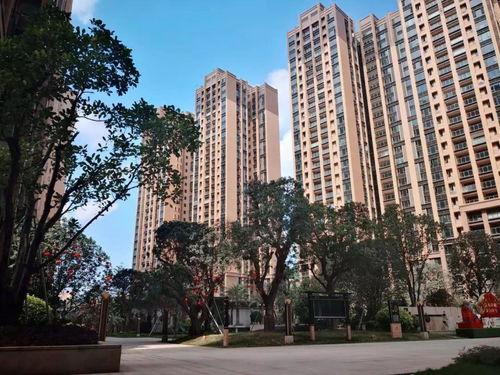 万邦今日蜜瓜行情分析