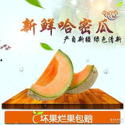 今日甜瓜哈密瓜价格,甜瓜市场行情分析