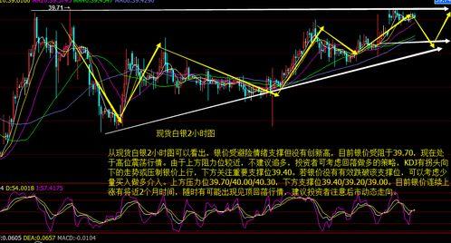 铁瓜今日行情走势,今日波动解析，趋势展望