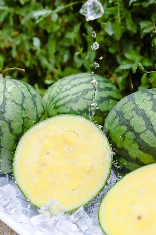 699.cu黑料吃瓜网