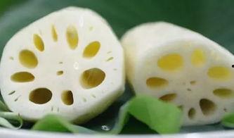 今日白露不吃二瓜吃三白,不吃二瓜，多吃三白，健康过秋