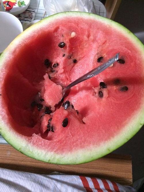 今日白露不吃二瓜吃三白,不吃二瓜，多吃三白，健康过秋