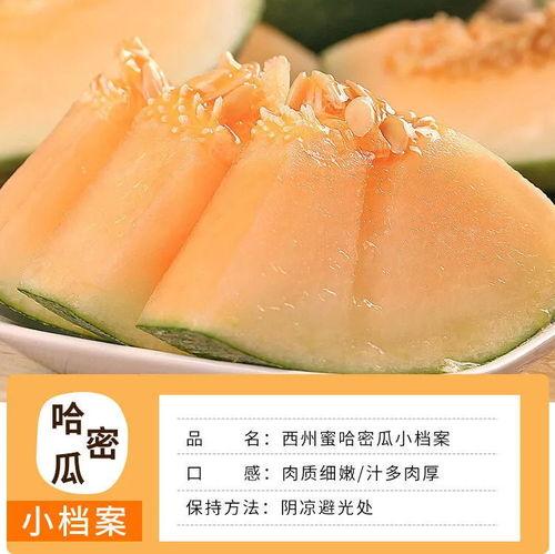 西州蜜瓜今日价,价格行情一览