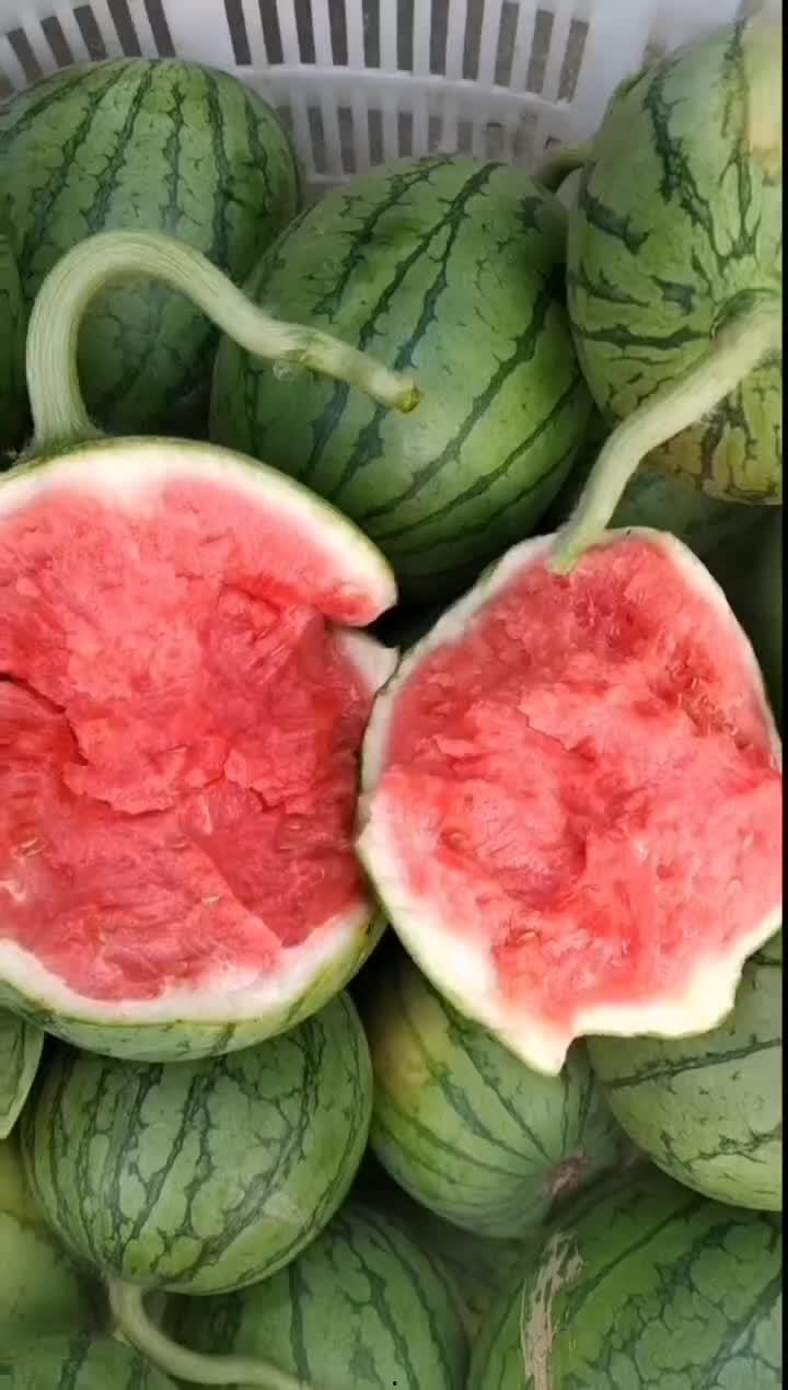 今日红瓜多少钱一斤,行情一览，一斤多少钱？