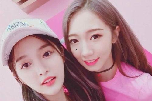 明星网红故事大合集下载,明星网红故事大合集精彩瞬间回顾