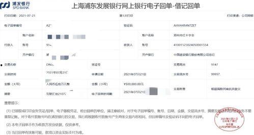 明星网红对河南的评价,明星网红眼中的文化瑰宝与美食天堂