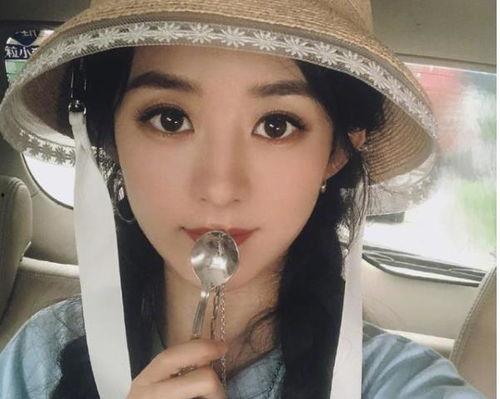 河北廊坊明星网红是谁,闪耀荧屏的璀璨之星