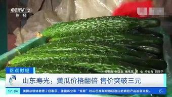 山东寿光小瓜今日价,新鲜上市，价格亲民！”