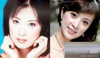 明星网红家花瓶图片大全,时尚与品味的完美融合