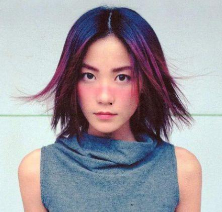 西湖明星网红有哪些名字