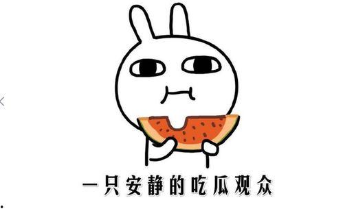 今日吃瓜网红是谁呀,揭秘网络红人的崛起之路