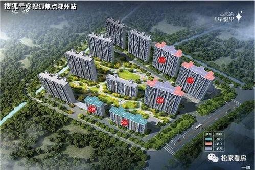 怀集新洲明星网红电音节,明星网红齐聚，打造夏日音乐狂欢盛典