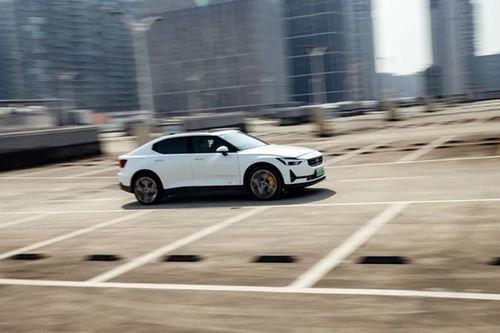 怀集新洲明星网红电音节,明星网红齐聚，打造夏日音乐狂欢盛典