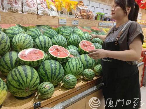 汉瓜今日行情价格最新,今日价格波动解析，市场动态一览”