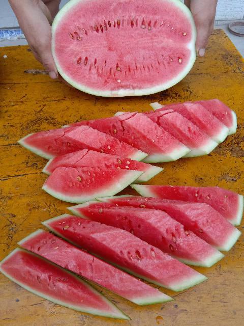 汉瓜今日行情价格最新,今日价格波动解析，市场动态一览”