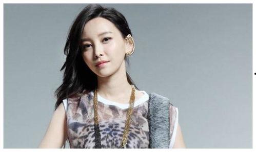 明星网红比较火的歌曲