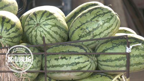 九一吃瓜今日吃瓜网,今日热点事件大盘点