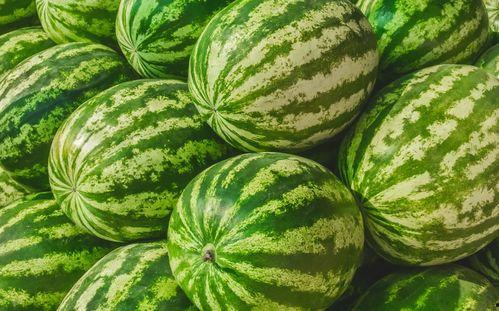 热门大瓜今日吃瓜中心,揭秘娱乐圈最新猛料，吃瓜群众狂欢时刻！