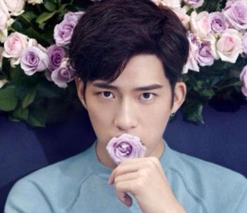 男明星网红卖货图片真实,男网红直播卖货，粉丝热情追捧