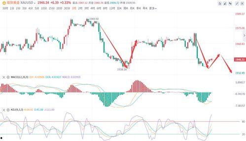 今日海南二瓜价格走势