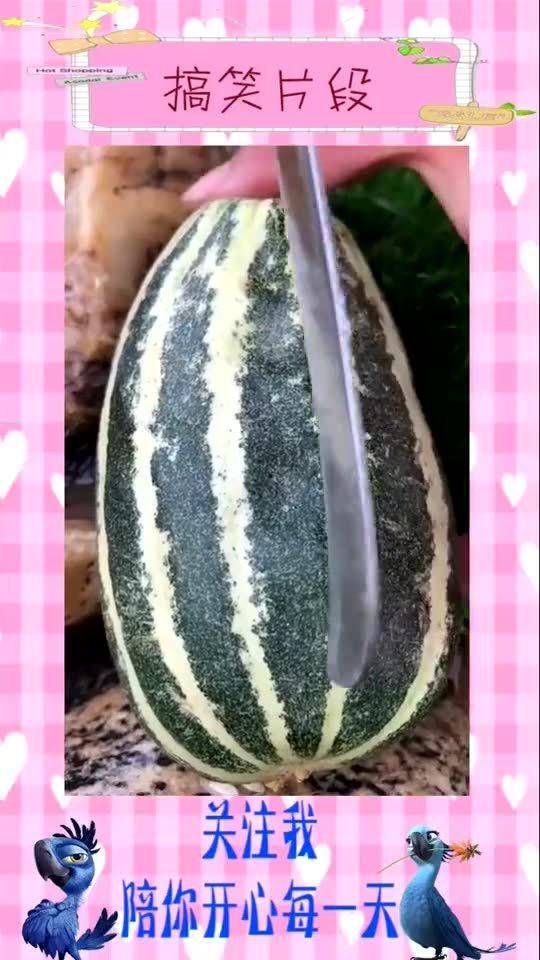 今日猜瓜视频大全,揭秘娱乐圈最新热点，带你领略趣味无限