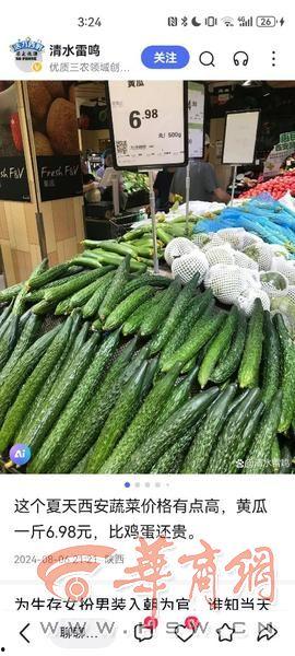 茄瓜今日收购价格查询,市场行情实时解读”
