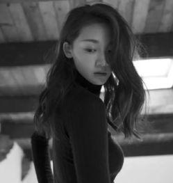 河南南阳有哪些明星网红,南阳明星网红风采掠影