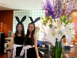 国家对明星网红税收新闻,国家监管升级，税务规范再加强