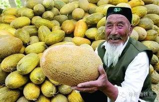 郑州万邦哈密瓜今日行情,价格波动与市场动态一览