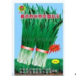 今日寿光吊瓜价格,品质佳、价格稳，市场反响热烈”