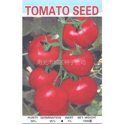 今日寿光吊瓜价格,品质佳、价格稳，市场反响热烈”