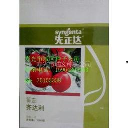 今日寿光吊瓜价格,品质佳、价格稳，市场反响热烈”
