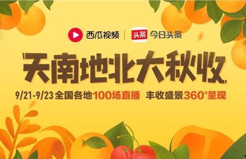 今日头条抽奖中奖瓜友,抽奖中奖喜讯频传，瓜友们的幸运时刻！