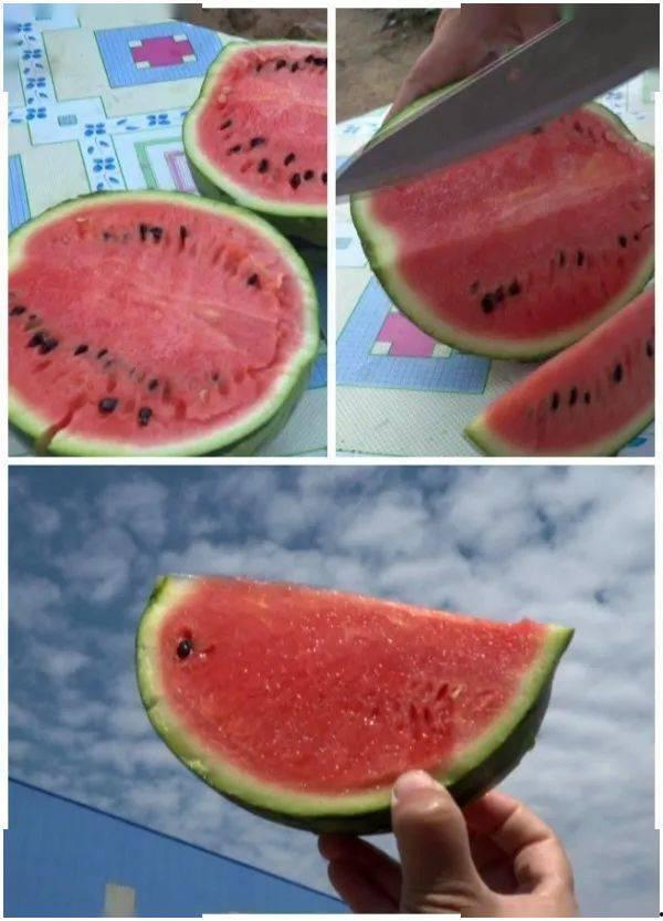 漯河吊瓜今日价格,市场行情实时解析