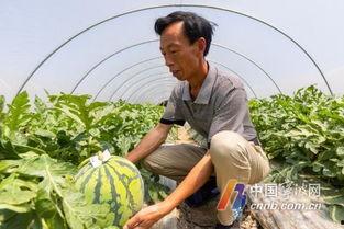 今日宁波的瓜,今日瓜事盘点