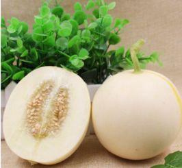 山瓜甜瓜今日价格,今日市场行情一览