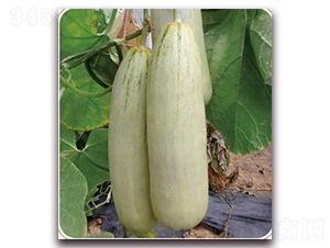 山瓜甜瓜今日价格,今日市场行情一览