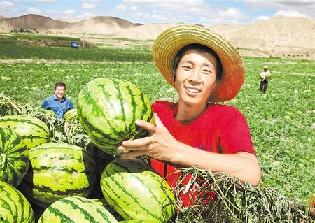 今日新发地硒砂瓜批发价