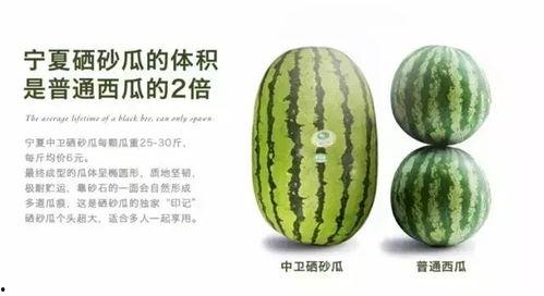 今日新发地硒砂瓜批发价