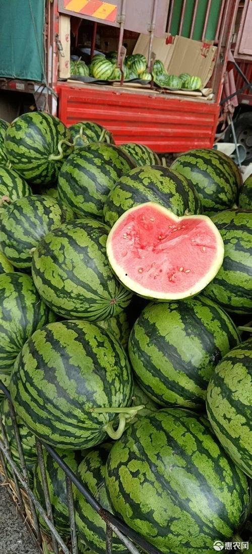 大同麒麟瓜今日价格,价格行情一览”