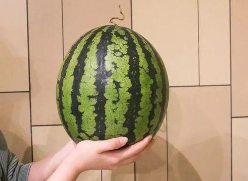 今日5个瓜,娱乐圈风云再起，揭秘幕后真相