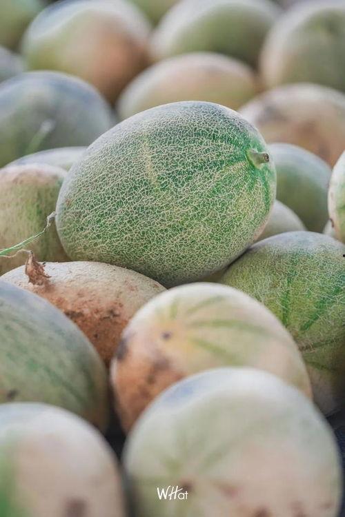 今日份大瓜,娱乐圈重磅爆料，揭秘明星幕后真相